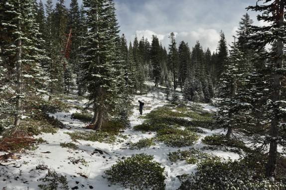 Inventando uma trilha pela neve da floresta do Mount Shasta, na Califórnia, nos Estados Unidos